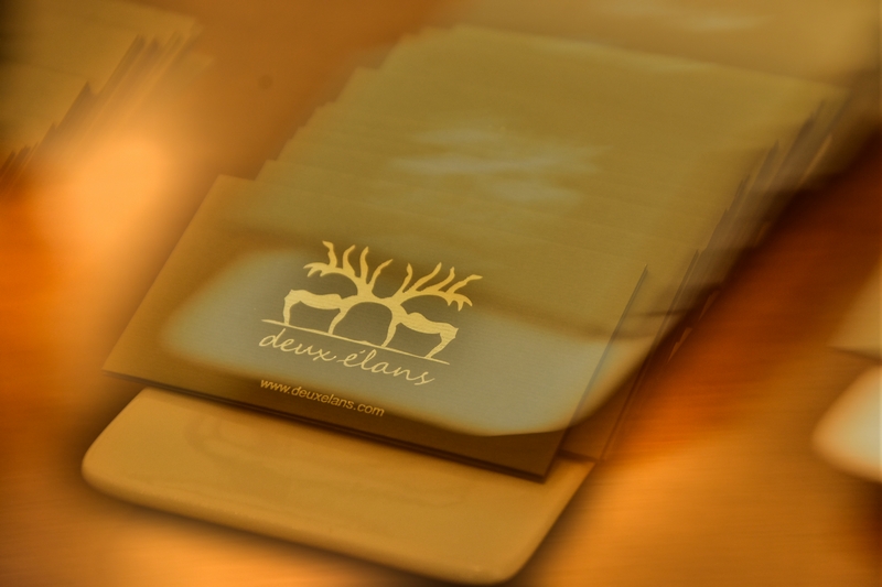 Launch of élan Bags